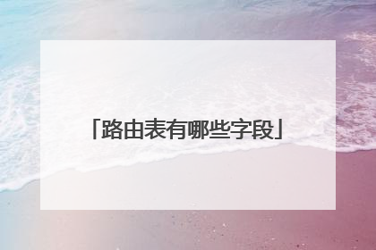 路由表有哪些字段
