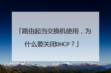 路由起当交换机使用，为什么要关闭DHCP？