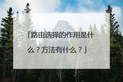 路由选择的作用是什么？方法有什么？