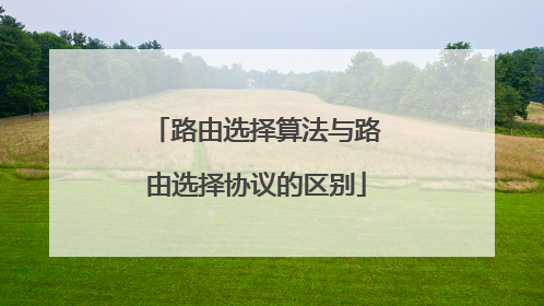 路由选择算法与路由选择协议的区别