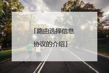 路由选择信息协议的介绍
