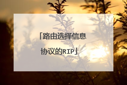 路由选择信息协议的RIP
