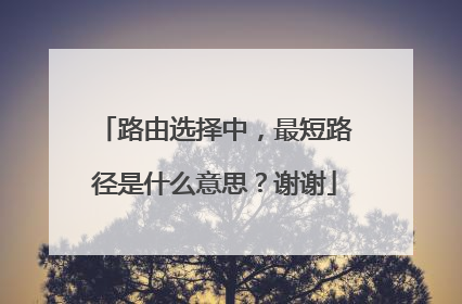 路由选择中,最短路径是什么意思?谢谢
