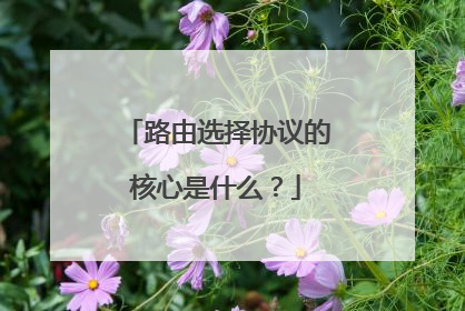 路由选择协议的核心是什么?