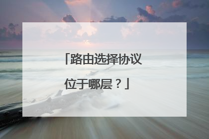 路由选择协议位于哪层?