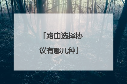 路由选择协议有哪几种