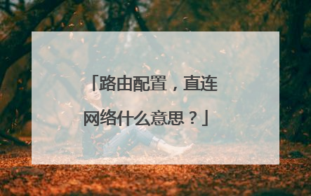 路由配置，直连网络什么意思？