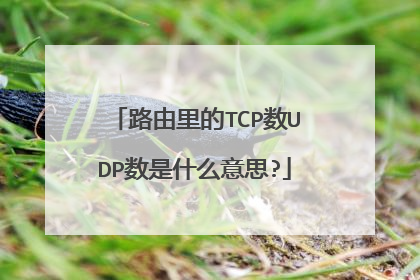 路由里的TCP数UDP数是什么意思?