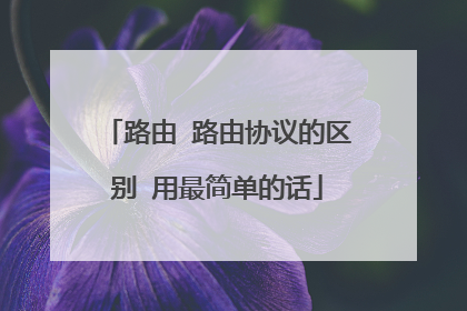 路由 路由协议的区别 用最简单的话