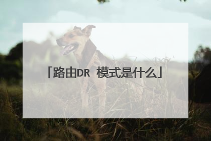 路由DR 模式是什么