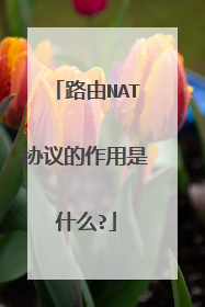 路由NAT协议的作用是什么?