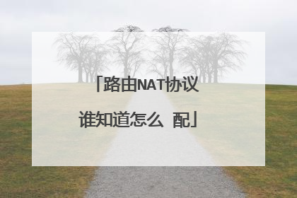 路由NAT协议谁知道怎么 配