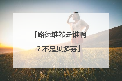 路德维希是谁啊？不是贝多芬