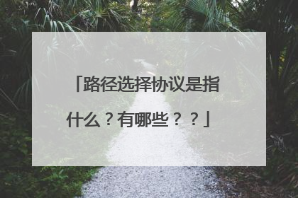 路径选择协议是指什么？有哪些？？
