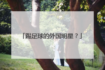 踢足球的外国明星？
