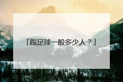 踢足球一般多少人?
