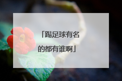 踢足球有名的都有谁啊