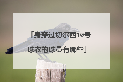 身穿过切尔西10号球衣的球员有哪些