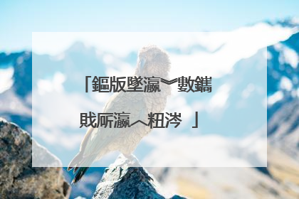 鏂版墜瀛︾數鑴戝厛瀛︿粈涔�