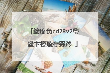 鍗庝负cd28v2璺�鐢卞櫒璇存槑涔�