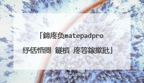 鍗庝负matepadpro纾佸惛閿�鐩樻�庝箞鎵撳瓧