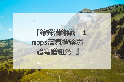 鎵嬫満缃戦��1mbps澶氬揩锛岃兘骞蹭粈涔�