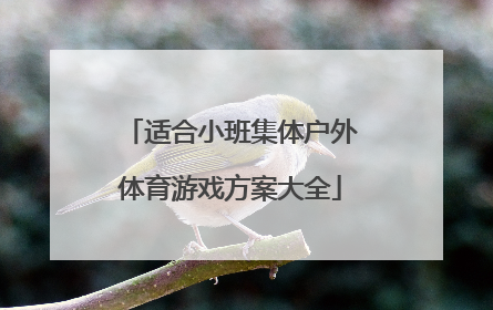 适合小班集体户外体育游戏方案大全