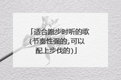 适合跑步时听的歌(节奏性强的,可以配上步伐的)