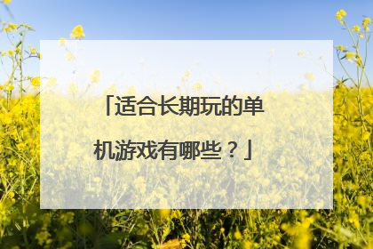 适合长期玩的单机游戏有哪些?