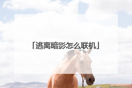 逃离暗影怎么联机