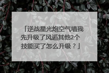 逆战星光炮空气墙我先升级了风遁其他2个技能买了怎么升级?