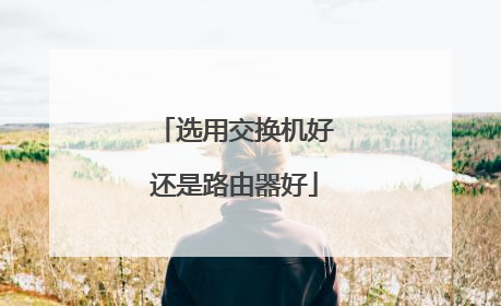 选用交换机好还是路由器好