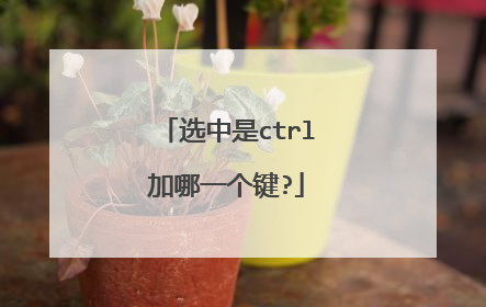 选中是ctrl加哪一个键?