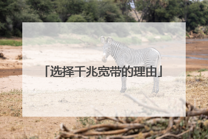 选择千兆宽带的理由