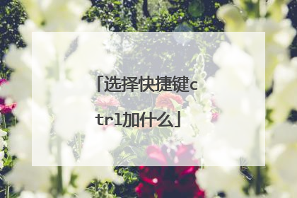选择快捷键ctrl加什么