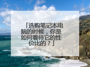 选购笔记本电脑的时候,你是如何看待它的性价比的?
