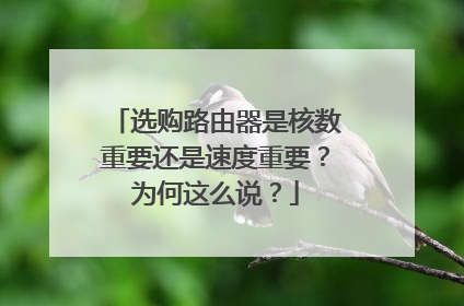 选购路由器是核数重要还是速度重要?为何这么说?