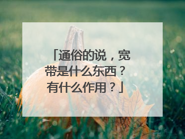 通俗的说，宽带是什么东西？有什么作用？