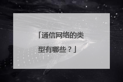 通信网络的类型有哪些？