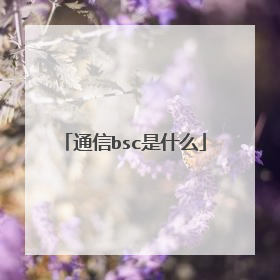 通信bsc是什么
