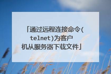 通过远程连接命令(telnet)为客户机从服务器下载文件