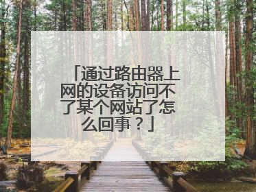 通过路由器上网的设备访问不了某个网站了怎么回事?