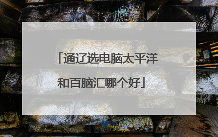 通辽选电脑太平洋和百脑汇哪个好