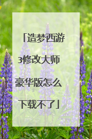造梦西游3修改大师豪华版怎么下载不了