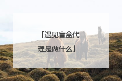 遇见盲盒代理是做什么