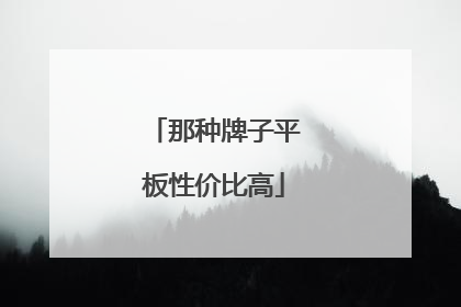 那种牌子平板性价比高