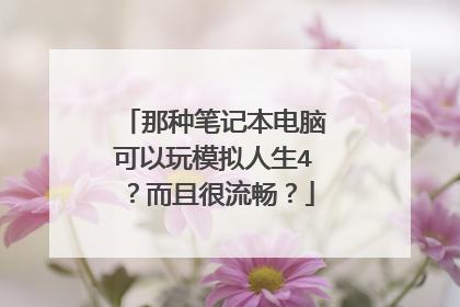 那种笔记本电脑可以玩模拟人生4？而且很流畅？