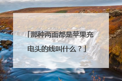 那种两面都是苹果充电头的线叫什么?