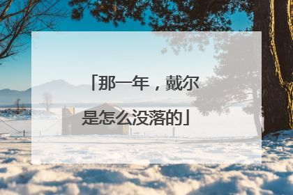 那一年,戴尔是怎么没落的