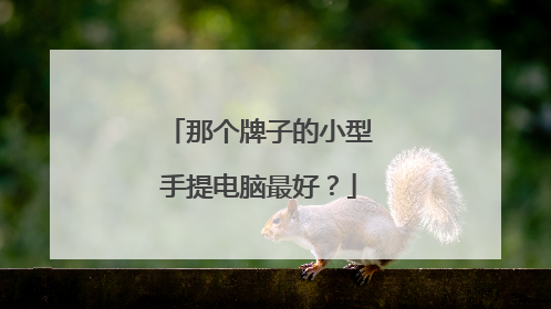 那个牌子的小型手提电脑最好?